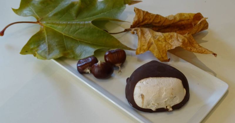 gelateria dalla corte_specialità